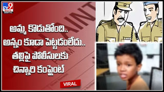 Viral Video: దిమ్మతిరిగే పంచ్‌లు.. మతిపోగొట్టే కిక్‌లు.. కంగారుల మధ్య ఫైట్ చూస్తే నవ్వాపుకోలేరు.. వైరల్ వీడియో