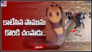 Viral video: అంత ఓవర్ యాక్షన్ ఎందుకమ్మా.. అడ్డగోలుగా రోడ్డు దాటిన మహిళ.. రెండు కార్లు ఢీకొన్నాయి..