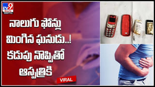 Mongoose-Snake: నడి రోడ్డుపై పాము, ముంగిస పోట్లాట.. గంటకు పైగా హోరాహోరీ.. గెలిచింది ఎవరంటే..?