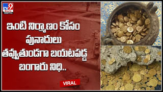 Fox Attack: పార్క్‌లో ఫోన్‌ మాట్లాడుతున్న మహిళ.. ఒక్కసారిగా ఎటాక్‌ చేసిన నక్క.. నెట్టింట వీడియో వైరల్‌