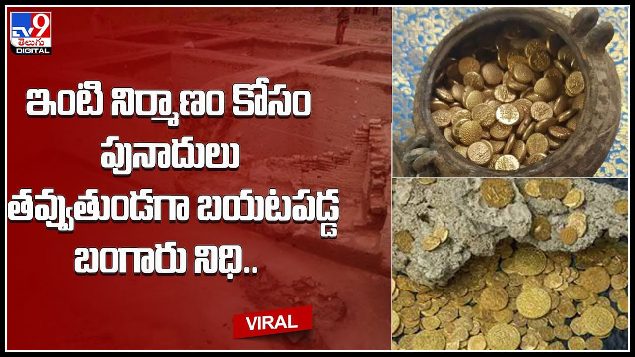 Gold Treasure: ఇంటికోసం పునాదులు తవ్వుతున్న కూలీలు.. తవ్వకాల్లో బయటపడ్డ బంగారు నిధి.. విలువ ఎంతో తెలుసా.. Gold Treasure: ఇంటికోసం పునాదులు తవ్వుతున్న కూలీలు.. తవ్వకాల్లో బయటపడ్డ బంగారు నిధి.. విలువ ఎంతో తెలుసా..