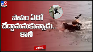 Kabaddi: కటౌట్లు చూసి కొన్ని నమ్మెయ్యొద్దు డ్యూడ్.. బుడ్డోడా మజాకా.. ప్రత్యర్థిని చాకచక్యంగా పట్టేసి..(వీడియో)