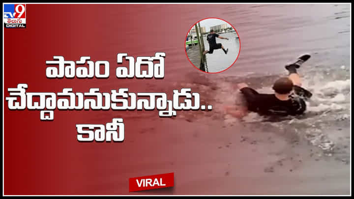 Viral video: పాపం పాపులారిటీ కోసం నదిలో దూకాడు.. దెబ్బకు వీపు విమానం మోత మోగింది.. ఫన్నీ వీడియో Viral video: పాపం పాపులారిటీ కోసం నదిలో దూకాడు.. దెబ్బకు వీపు విమానం మోత మోగింది.. ఫన్నీ వీడియో