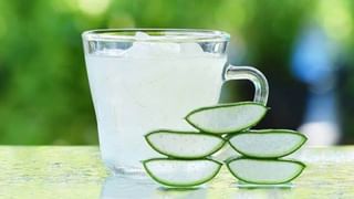 Papaya Water: బొప్పాయి నీళ్లతో అద్భుత ఆరోగ్య ప్రయోజనాలు.. అధిక బరువుతో పాటు ఆ సమస్యలకు చెక్‌