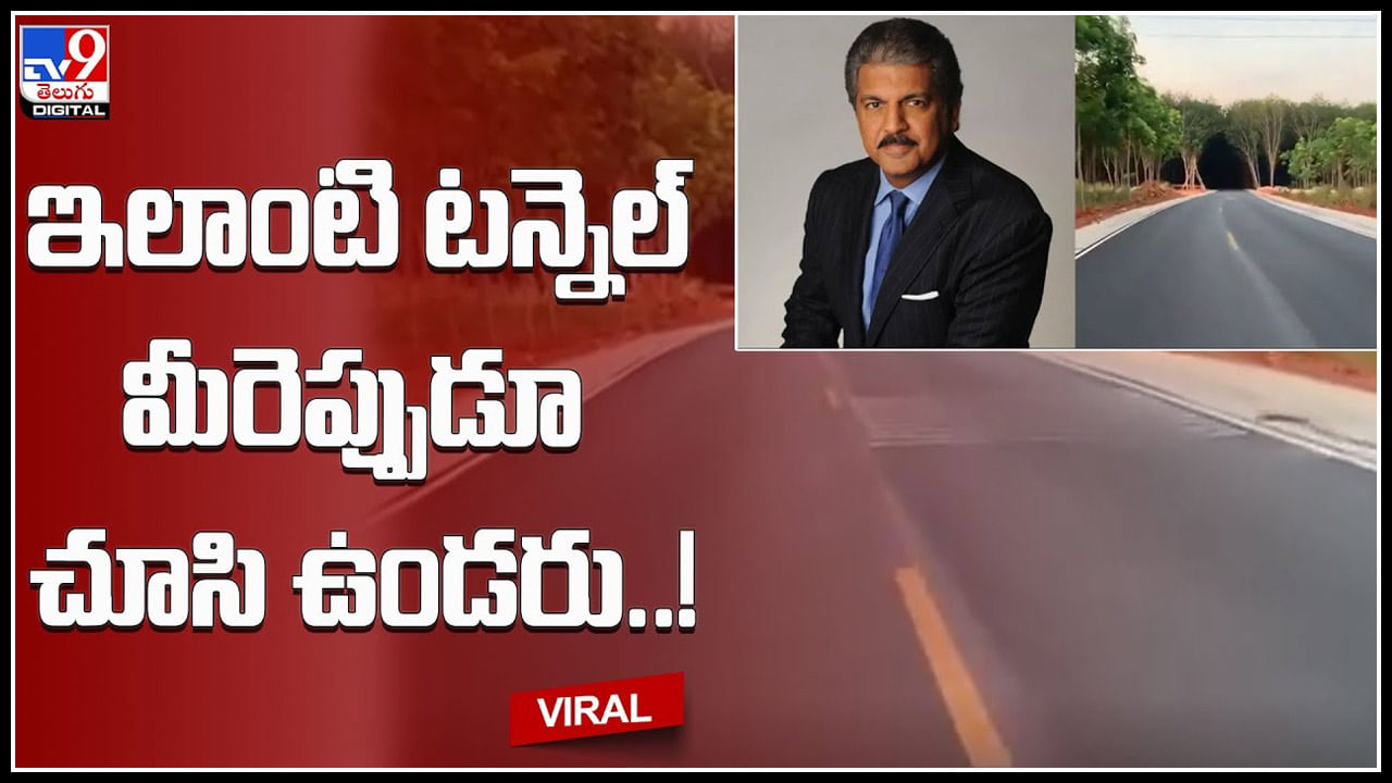 Viral Video: ఎప్పుడూ చూడని టన్నెల్‌ను పరిచయం చేసిన ఆనంద్‌ మహీంద్ర.. వీడియో చూస్తే వావ్‌ అనాల్సిందే..
