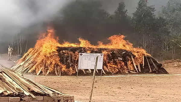 Andhra Pradesh: గంజాయిపై ఏపీ పోలీసుల ఉక్కుపాదం.. 2 కోట్ల విలువైన సరుకు కాల్చివేత..