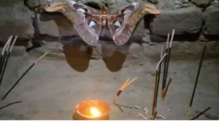 Viral Video: ఇలాంటి ఫైట్‌.. నెవ్వర్ బిఫోర్ ఎవర్ ఆఫ్టర్.. కోడి, కోతి ఎలా కొట్టుకున్నాయో మీరే చూడండి..