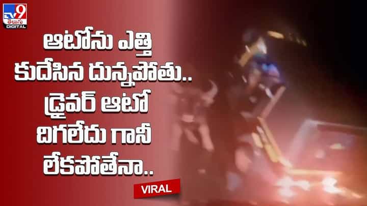 ఆటోను ఎత్తి కుదేసిన దున్నపోతు.. డ్రైవర్ ఆటో దిగలేదు గానీ లేకపోతేనా.. ఆటోను ఎత్తి కుదేసిన దున్నపోతు.. డ్రైవర్ ఆటో దిగలేదు గానీ లేకపోతేనా..