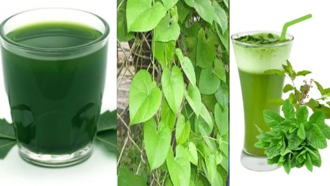 Ayurvedic Juice: ఆరోగ్యానికి దివ్య ఔషధం ఈ ఆయుర్వేద రసం.. ఆ మూడు ఆకులతో ఆ సమస్యలు సైతం మటుమాయం..