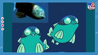 ఆహార ప్రియులకు గుడ్ న్యూస్ !! దేశంలో ఎక్కడి ఫుడ్ అయినా ఆర్డర్‌ చేయొచ్చు !!