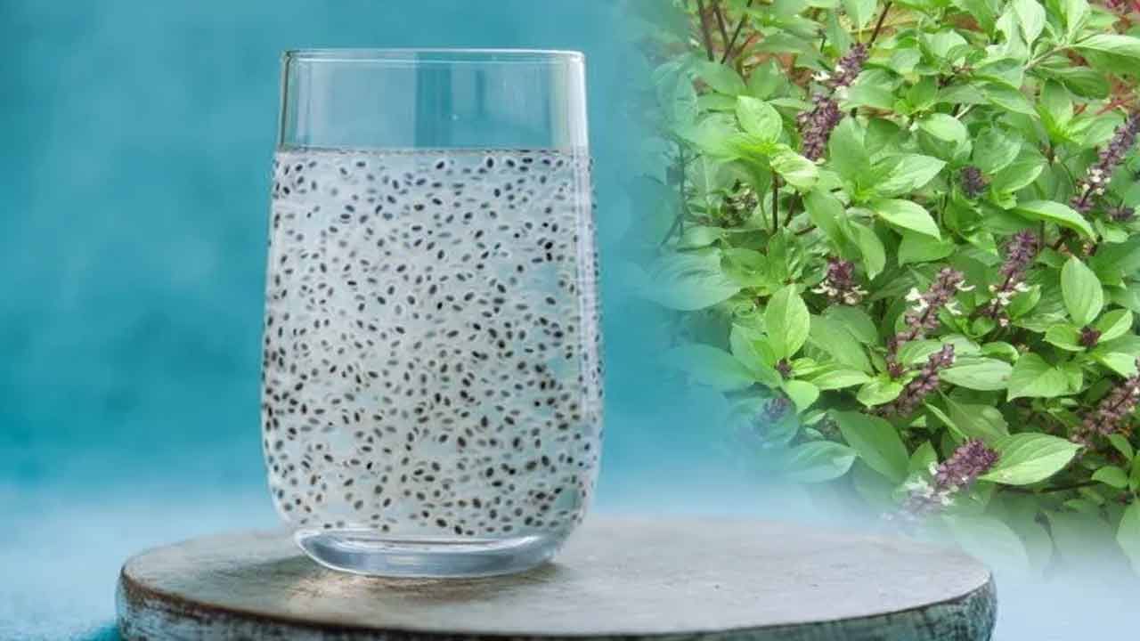 Basil Seeds Benefits