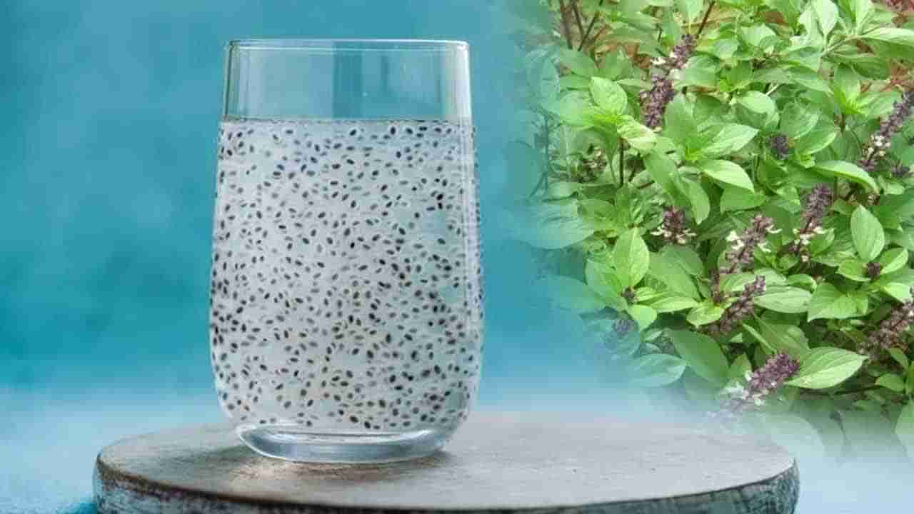 Basil Seeds Benefits: తులసి ఆకులే కాదు.. గింజల్లో కూడా ఆరోగ్య నిధి దాగి ఉంది.. ప్రయోజనాలు తెలిస్తే అస్సలు వదిలిపెట్టరు..