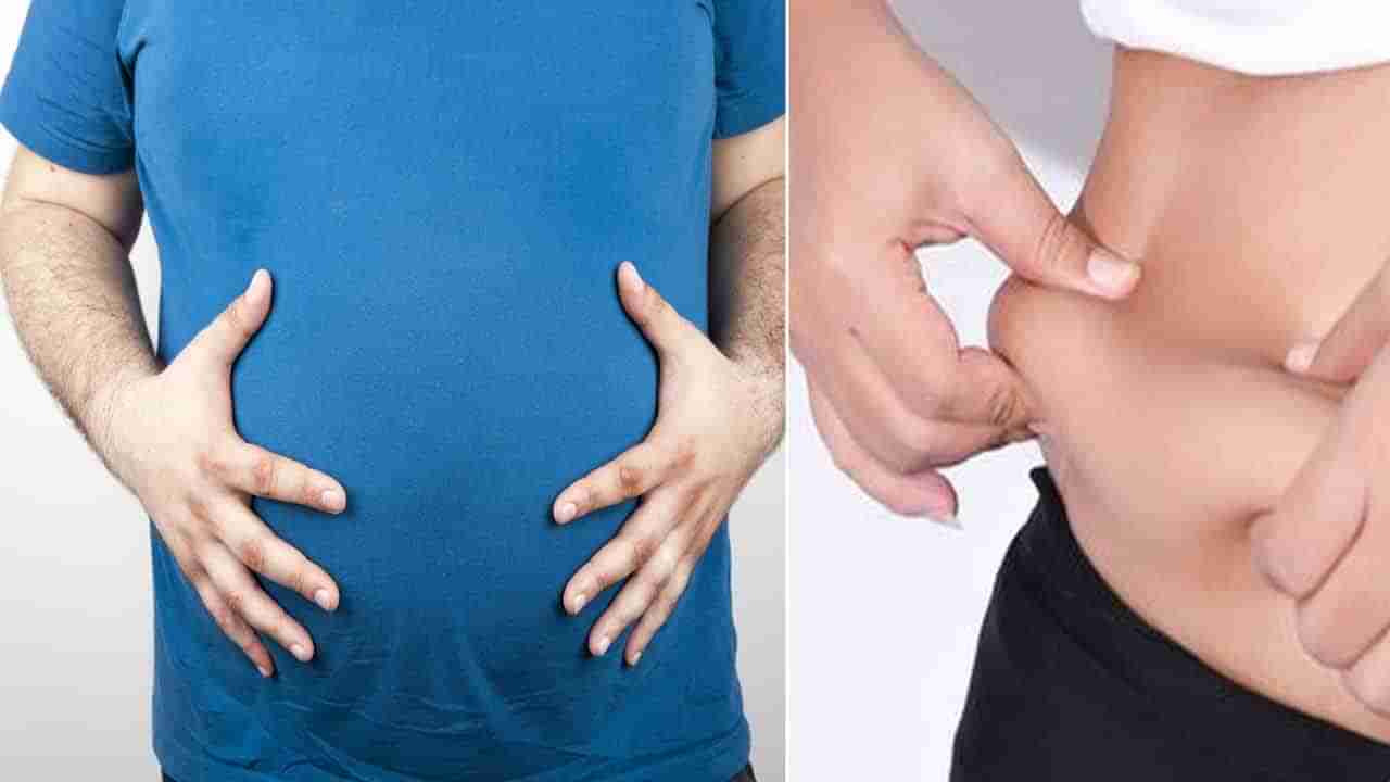 Belly Fat: పొట్ట గుట్టలా పెరుగుతుందా..? బెల్లీ ఫ్యాట్‌కు ముఖ్య కారణం అదేనంట.. ఈ విషయాలను తెలుసుకోండి..