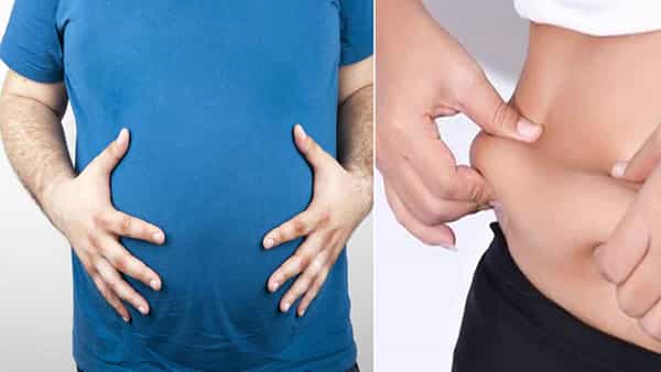 Belly Fat: పొట్ట గుట్టలా పెరుగుతుందా..? బెల్లీ ఫ్యాట్కు ముఖ్య కారణం అదేనంట.. ఈ విషయాలను తెలుసుకోండి..