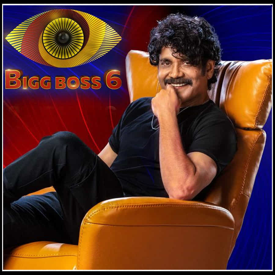 Bigg Boss 6 Telugu: అక్కినేని నాగార్జున హోస్ట్గా వ్యహరిస్తోన్న బిగ్బాస్- 6 గ్రాండ్ గా లాంచ్ అయ్యింది. ఎప్పటిలాగే కింగ్ మరింత ఎనర్జిటిక్గా కనిపించారు. రెట్టింపు ఉత్సాహంతో కంటెస్టెంట్స్ హౌస్లోకి స్వాగతం పలికారు. ఇక ఈ సీజన్లో కంటెస్టెంట్ల వివరాలు..