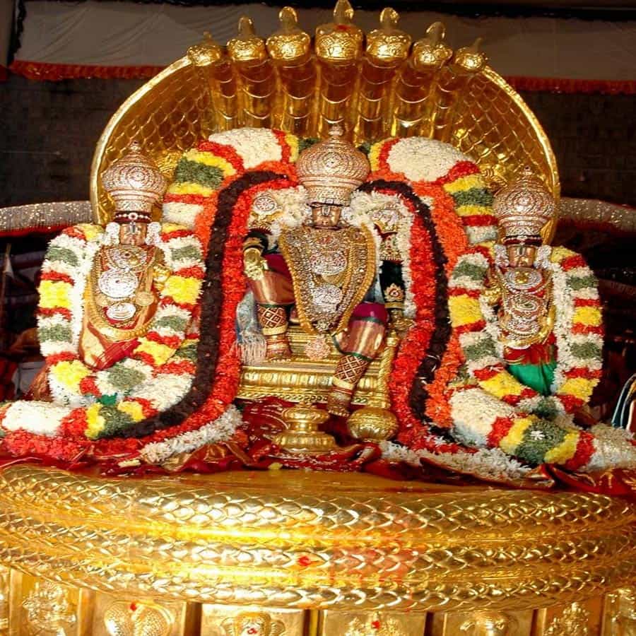  మొదటి రోజు ధ్వజారోహణంతో వార్షిక బ్రహ్మోత్సవాలు ప్రారంభమవుతాయి.  సాయంత్రం శ్రీదేవి, భూదేవి సమేత శ్రీ మలయప్పస్వామి పెద్ద శేష వాహనంపై ఊరేగుతూ భక్తులకు దర్శనమిస్తారు. పెద్ద శేషవాహనాన్ని ఆదిశేషుడికి ప్రతీకగా భావిస్తారు. 
