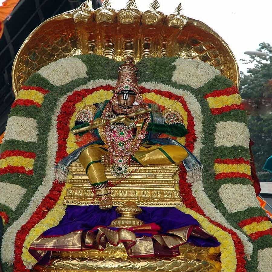  బ్రహ్మోత్సవాల్లో రెండోరోజు  ఉత్సవమూర్తిని ఐదు తలలుండే చిన్న శేషవాహనం మీద ఊరేగిస్తారు.  చిన్న శేషవాహనాన్ని"వాసుకి" కి ప్రతీకగా భావిస్తారు.  రెండో రోజూ సాయంత్రం వేళలో స్వామివారిని హంస వాహనంమీద వూరేగిస్తారు.
