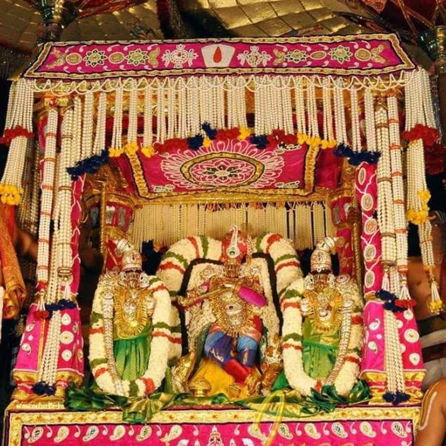  బ్రహ్మోత్సవాల్లో మూడో రోజు ఉదయం శ్రీవారికి సింహ వాహనసేవ చేస్తారు. రాత్రి స్వామివారు తన ఉభయ దేవేరులతో కలిసి.. భోగశ్రీనివాసునిగా తిరుమల వీధుల్లో ముత్యాలపందిరి వాహనంపై  ఊరేగుతారు. చల్లదనానికి చిహ్నమైన ముత్యపుపందిరి వాహనంపై ఊరేగుతున్న స్వామివారిని భక్తులు దర్శించుకుంటే.. మనసు నిర్మలమవుతుందని భక్తుల నమ్మకం.
