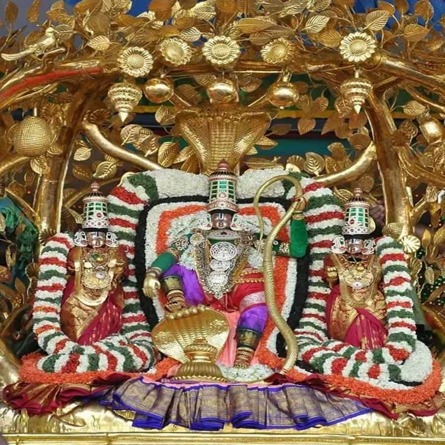  బ్రహ్మోత్సవాల్లో నాలుగోరోజు ఉదయం.. స్వామివారు కల్పవృక్ష వాహనంలో భక్తులకు దర్శనం ఇస్తారు. సాయంత్రం శ్రీవారు ఉభయ దేవేరులతో కలిసి   సర్వభూపాల వాహనంపై ఊరేగుతారు. ఈ వాహన సేవలో పాల్గొనే భక్తులకు సమాజంలో పేరు ప్రతిష్టలు, గౌరవం కలుగుతాయని నమ్మకం. 
