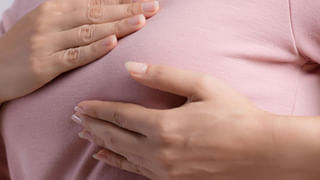 Uric Acid: కీళ్ల నొప్పులు పెరుగుతున్నాయా?.. ఈ ఆయుర్వేద మూలికను తీసుకోండి.. నొప్పి వేగంగా తగ్గుతుంది..