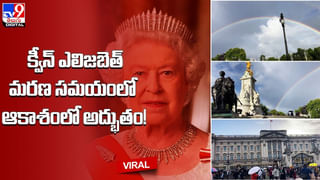 Digital TOP 9 NEWS: కోతిని చూసి ఆగిన గుండె.. ట్రాన్స్‌జెండర్‌‌తో ప్రేమలో పడ్డ భర్త.. .