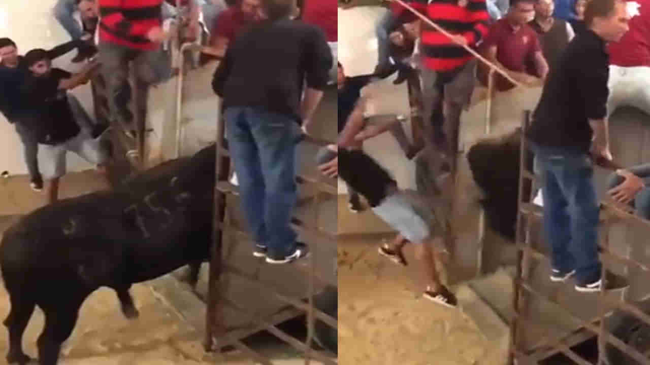 Video Viral: బాగా అయ్యిందా.. ప్రశాంతంగా ఉన్నప్పుడు కెలికితే ఇలాగే ఉంటుంది.. నవ్వు తెప్పిస్తున్న వీడియో..