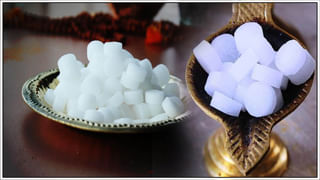 Blood Sugar: ప్రతిరోజూ 2 టీస్పూన్ల తేనె తీసుకోవడం వల్ల బ్లడ్ షుగర్, కొలెస్ట్రాల్ అదుపులోకి వస్తుందా?.. నిపుణుల ఏమంటున్నారంటే..