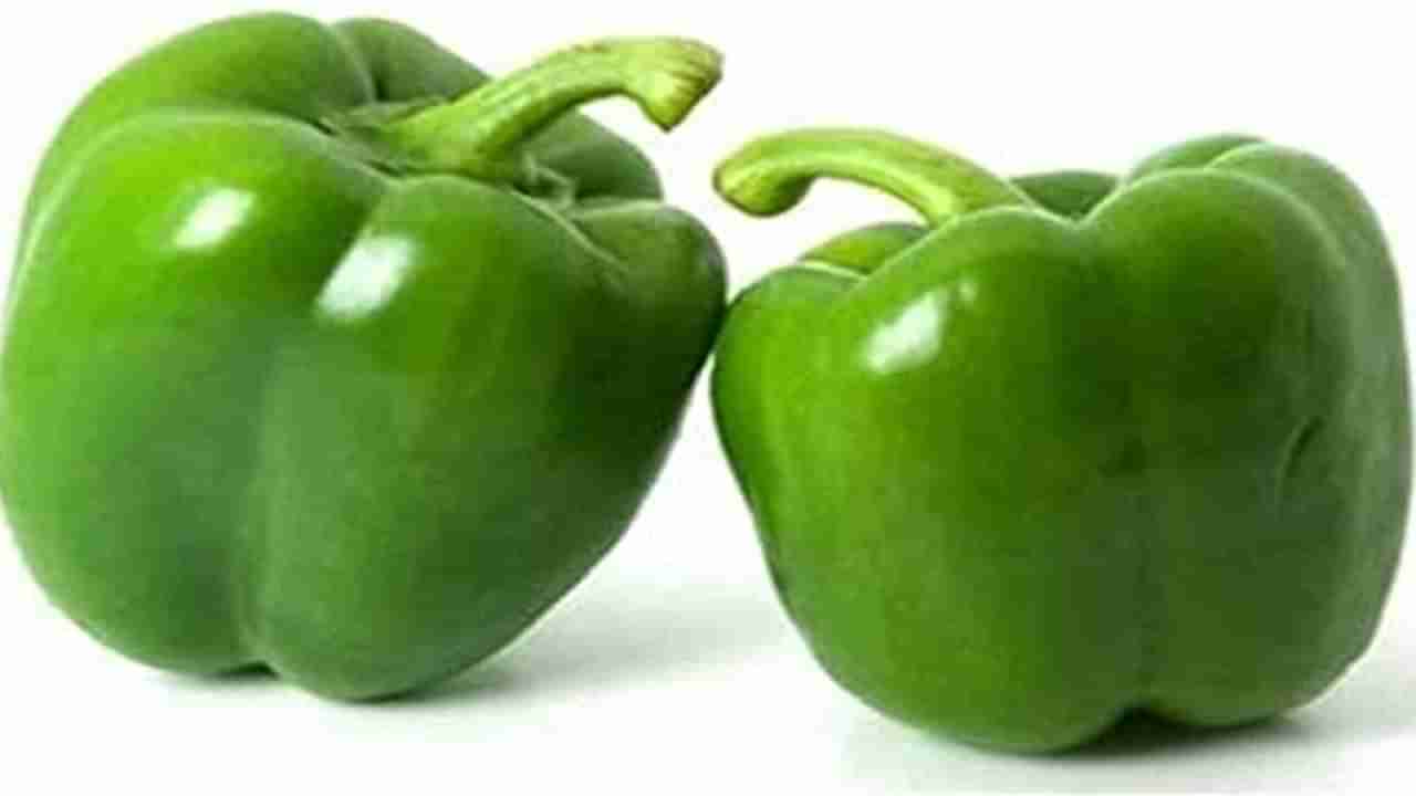 Capsicum Benefits: ఇందుకే కదా క్యాప్సికమ్ తినమని చెప్పేది.. దీని ప్రయోజనాలు తెలిస్తే అస్సలు వదిలిపెట్టరు..