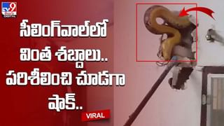 ఓర్నీ కోతి ప్రేమ సల్లగుండా !! చిన్నారిని హగ్ చేసుకుంటూ తెగ మురిసిపోతుంది