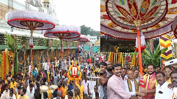 Srivari Brahmotsavam: గరుడసేవలో స్వామివారికి అలంకరించేందుకు ప్రత్యేక గొడుగులు.. చెన్నై నుంచి తిరుమలకు రాక