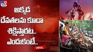 ఇళ్ల మధ్య ప్రత్యక్షమైన అతి పెద్ద మొసలి.. భయంతో జనం పరుగులు