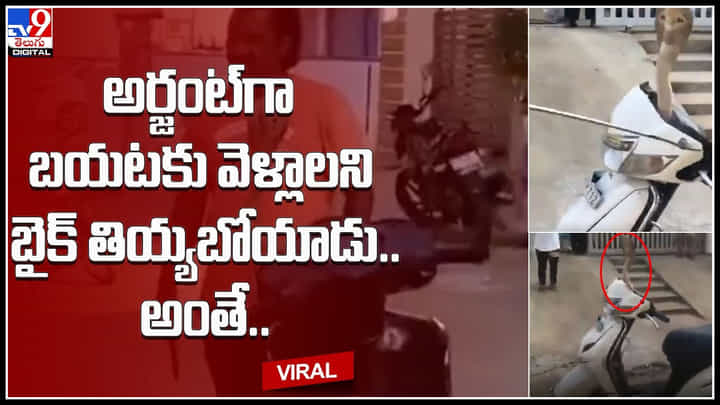 Scooty: అర్జంట్గా బయటకు వెళ్లాలని హడావిడిగా బైక్ తీస్తున్నారా.. జాగ్రత్త..! స్కూటీలోంచి వింత శబ్దాలు.. Scooty: అర్జంట్గా బయటకు వెళ్లాలని హడావిడిగా బైక్ తీస్తున్నారా.. జాగ్రత్త..! స్కూటీలోంచి వింత శబ్దాలు..