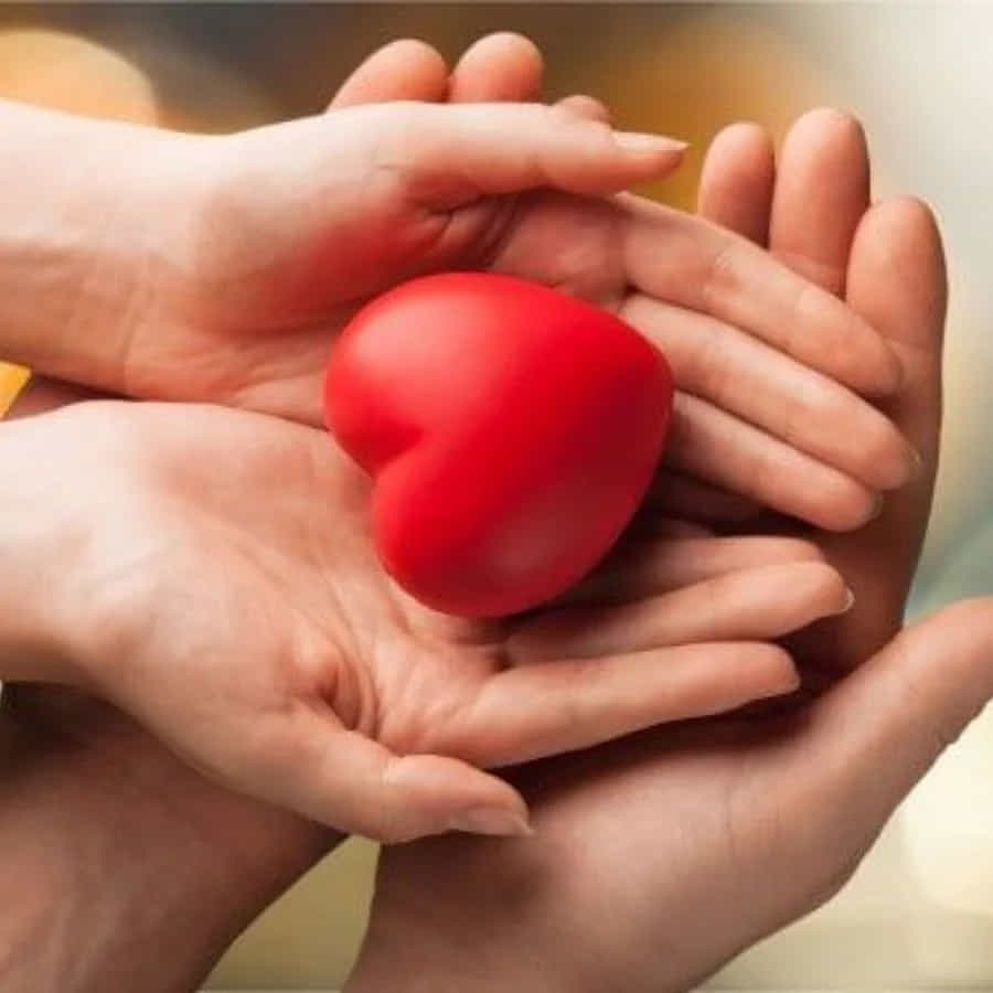 కొబ్బరి నీళ్లలో ఎలక్ట్రోలైట్స్, పొటాషియం ఉంటాయి. ఇవి గుండె సంరక్షణలో సహాయపడతాయి. ఇందులో ఉండే విటమిన్లు, మినరల్స్ గుండెను ఆరోగ్యంగా ఉంచుతాయి. మీ గుండె ఆరోగ్యంగా ఉండాలంటే రోజూ రాత్రి పడుకునే ముందు కొబ్బరినీళ్లు తాగవచ్చని సూచిస్తున్నారు పరిశోధకులు.