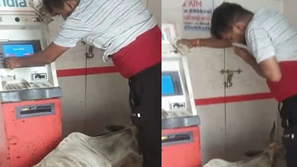 Viral Video: ఏటీఎం సెంటర్ సొంతం చేసుకున్న ఆవు.. రచ్చ రచ్చ చేసింది.. డబ్బుల కోసం వచ్చిన వారి కష్టం చూడాలి మరీ..