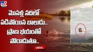 కుక్క కోసం పసివాడి ప్రాణాలను వదిలేశాడు !! చివరకు ఏమైందంటే ??