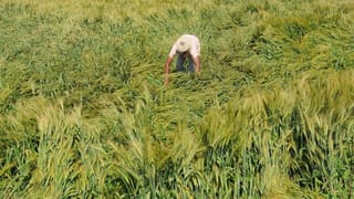 Jharkhand: ఘోర ప్రమాదం.. నదిలోకి దూసుకెళ్లిన బస్సు.. ఆరుగురు దుర్మరణం.. 40 మందికి పైగా..