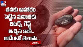 Digital TOP 9 NEWS: మా ఆయన మగాడు కాదు.. పెళ్లైన ఎనిమిదేళ్లకు భార్య ఫిర్యాదు