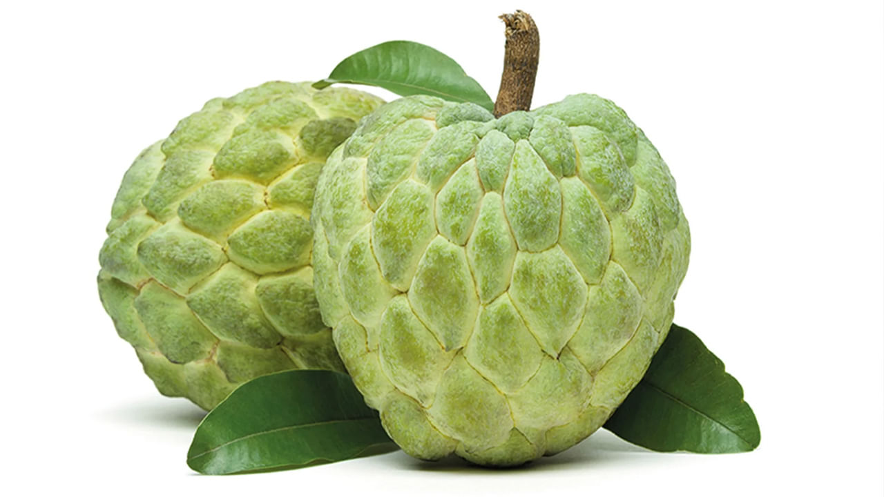 Custard Apple custard-apple