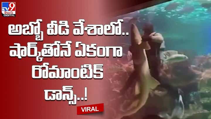 Viral: అబ్బో వీడి వేశాలో.. షార్క్తోనే ఏకంగా రోమాంటిక్ డాన్స్ Viral: అబ్బో వీడి వేశాలో.. షార్క్తోనే ఏకంగా రోమాంటిక్ డాన్స్