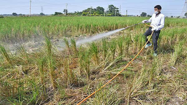 Delhi Pollution: పంట వ్యర్థాల కాల్చివేతకు చెక్ పెట్టేందుకు కొత్త పద్దతి.. ఢిల్లీ ప్రభుత్వం కీలక నిర్ణయం