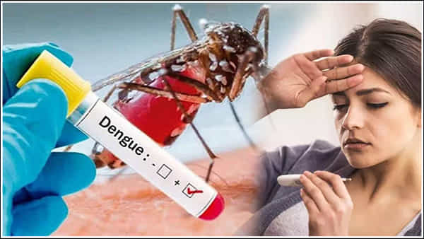 ఆరోగ్య చిట్కాలు: డెంగ్యూ నుండి త్వరగా కోలుకోవడానికి ఈ డైట్ పాటించండి..