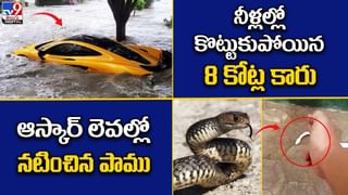 Digital TOP 9 NEWS:  ‘బనానా’ పైథాన్ ..అచ్చం అరటి పండులా || ‘దృశ్యం’ మూవీ చూసి.. తండ్రిని హ‌త్య చేసిన కూతురు!