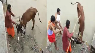 Viral Video: పంటలు పండిచడమే కాదు.. కొత్త ఆవిష్కరణలు చేయడమూ తెలుసు.. రైతు ట్యాలెంట్ కు ఫిదా అవుతున్న నెటిజన్లు