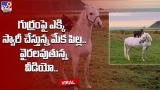 Viral Video: ఈ దివ్యాంగ బాలుడి మనోధైర్యాన్ని మెచ్చుకోకుండా ఉండలేరు.. నెటిజన్ల హృదయాలను కదిలిస్తోన్న వీడియో