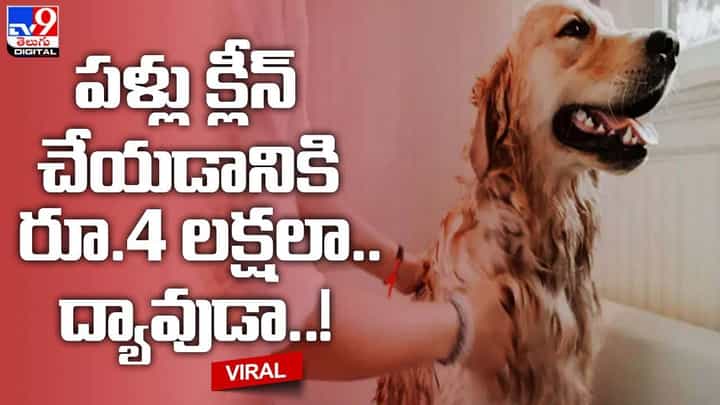 ఇదెక్కడి పిచ్చి బాబు !! పళ్లు క్లీన్ చేయడానికి రూ.4 లక్షలా.. ద్యావుడా ఇదెక్కడి పిచ్చి బాబు !! పళ్లు క్లీన్ చేయడానికి రూ.4 లక్షలా.. ద్యావుడా