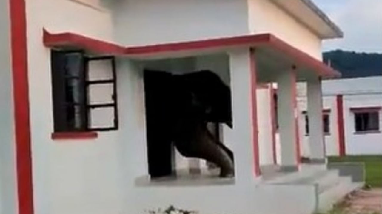Viral Video: ఈ ఏనుగు తెలివికి జోహర్లు.. తన పనికానిచ్చేసింది.. ఆ తర్వాత..