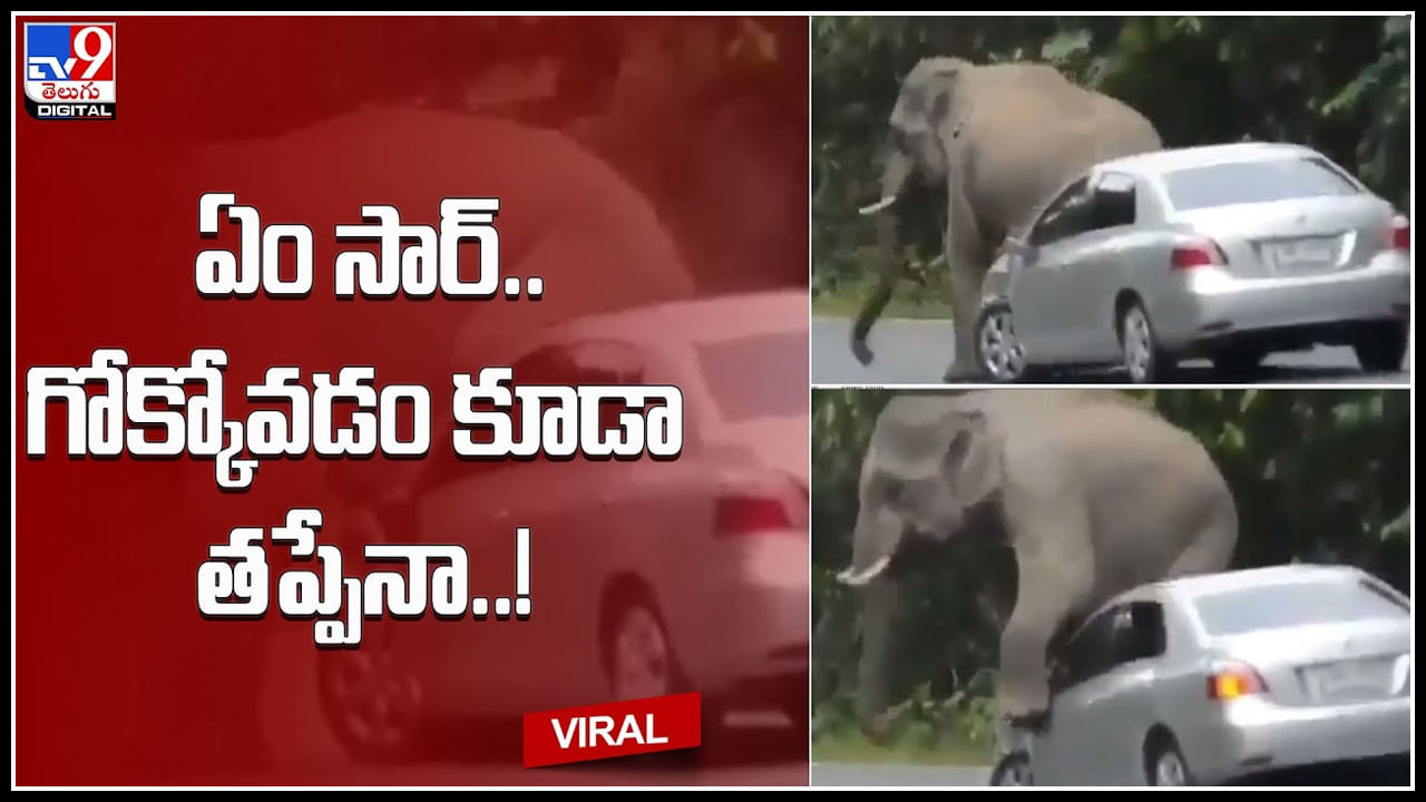 Elephant car scratch: ఏం సార్‌.. గోక్కోవడం కూడా తప్పేనా..! కారును టిస్యూ పేపర్‌ కింద వాడేసిందిగా..