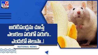 Viral:  సలసలా కాగుతున్న నూనెలో చేతులు ముంచి వడపావ్ తయారీ !! వీడియో చూస్తే షాకే