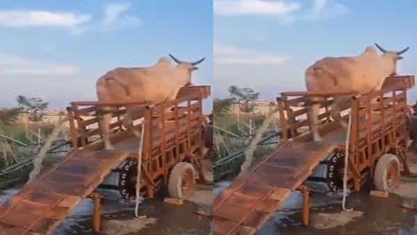 Viral Video: పంటలు పండిచడమే కాదు.. కొత్త ఆవిష్కరణలు చేయడమూ తెలుసు.. రైతు ట్యాలెంట్ కు ఫిదా అవుతున్న నెటిజన్లు