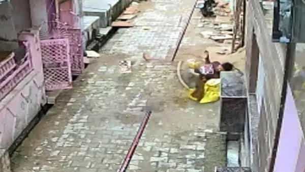 Viral Video: కూతురి కోసం కోతుల గుంపుతో యుద్ధం చేసిన జర్నలిస్ట్.. ఆఖరుకు ఏం జరిగిందంటే..